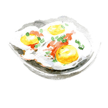 Fried eggs and tomato on the plate. Watercolor illustration on white background. Vector