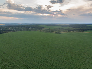 Field with bird's eye view