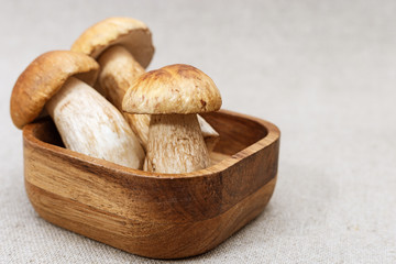Raw white mushrooms boletus in wooden bowl. Selective focus. Copy space.