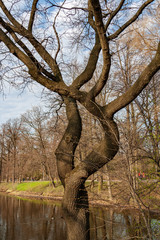 St.Petersburg, Russia