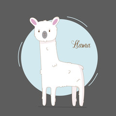 Cute hand drawn llama for baby girl. Simple cute white llama drawing with lettering. Alpaca illustration. Animal cartoon © milatoo
