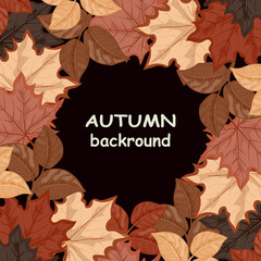 Autumn background with colorful leaves on dark  background. Vector illustration. 