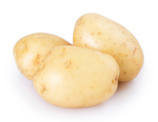 Raw potato on white background