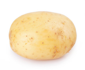 Raw potato on white background