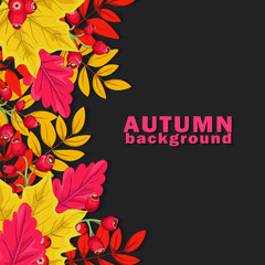 Autumn background with colorful leaves and  berries on dark  background. Vector illustration. 