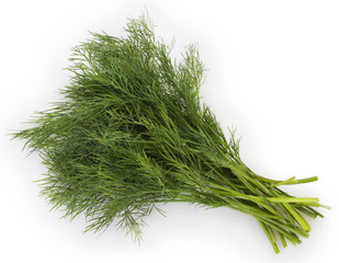 Fresh dill on white background