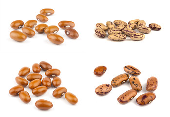 Haricot beans isolated on white background