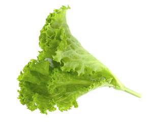Fresh green lettuce leaves isolated on white background
