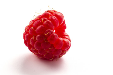 ripe raspberry on white background close up