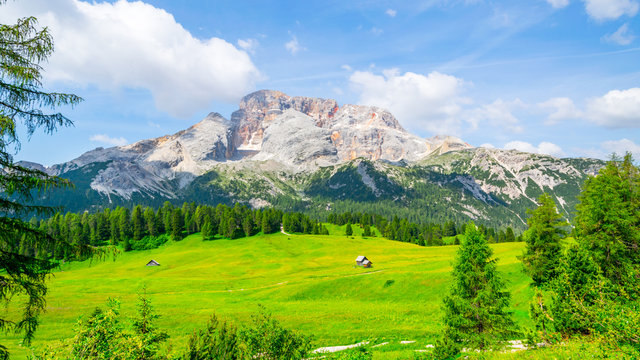 Pragser Dolomiten - Pl&auml;tzwiese. Wundersch&ouml;ne Almwiese mit Blick zum hohen Gaisl.