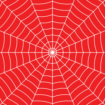 Spider man in web HD wallpapers  Pxfuel