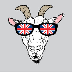 Vector illustration of Hipster Goat Portrait for t-shirt print, stickers