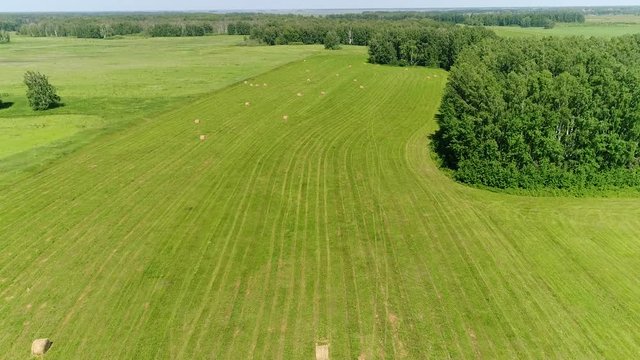 Haystacks in the field