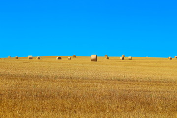 Fototapeta premium Strohballen