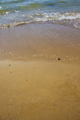 Soft wave of the sea on the sandy beach