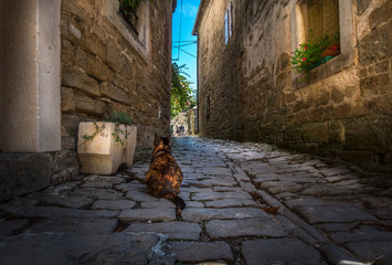 The streets of the city of Porec. Croatia.