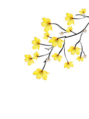 Floral greeting card design with branch of yellow flowers.