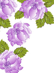 Purple peony flowers with leaves decorated greeting card design.