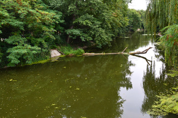 City of Yambol and Surroundings, Bulgaria