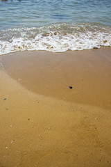 Soft wave of the sea on the sandy beach