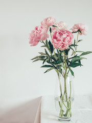Fototapeta premium peony bouquet in vase on white table