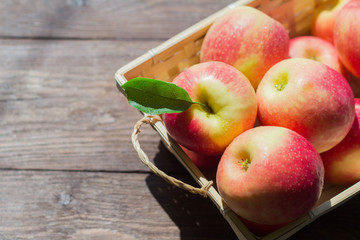 red juicy apples in a basket, fresh harvest