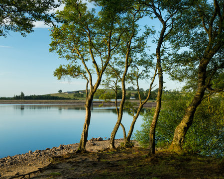 View of Fontburn Reservoir, Northumberland, England, UK, in evening light.
