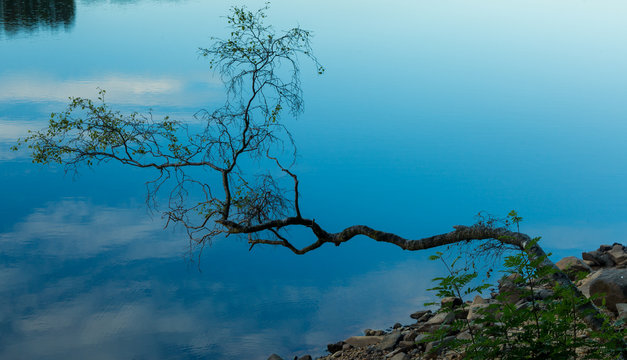 View of Fontburn Reservoir, Northumberland, England, UK, in evening light.