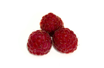 raspberries ягода малина 
