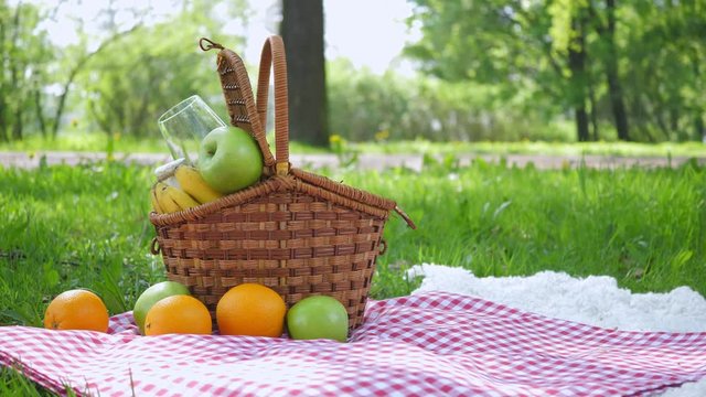 Vegan picnic with healthy food in park outside at summer day