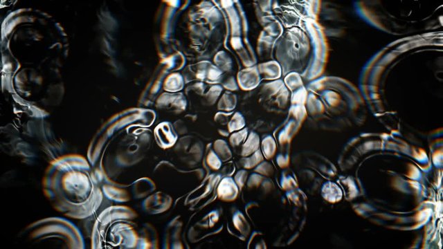 Molecular and organic scene in microscopic scale