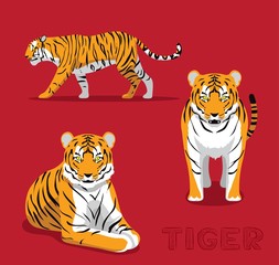 Panthera Tiger Cartoon Vector Illustration