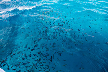 Egypt, Hurghada, Rad Sea