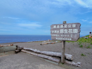 北海道小清水原生花園