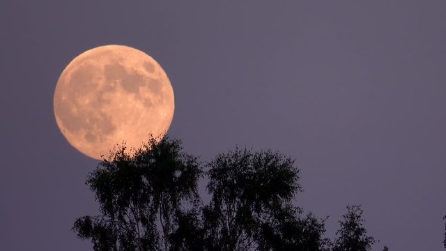 The Strawberrymoon, The fullmoon in june.