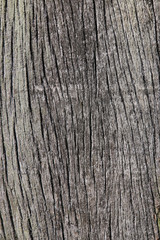 Old grungy wood planks background texture.