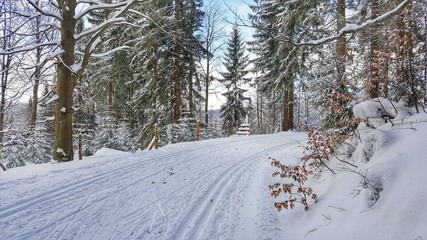 Cross country ski trail Jakuszyce, Góry Izerskie