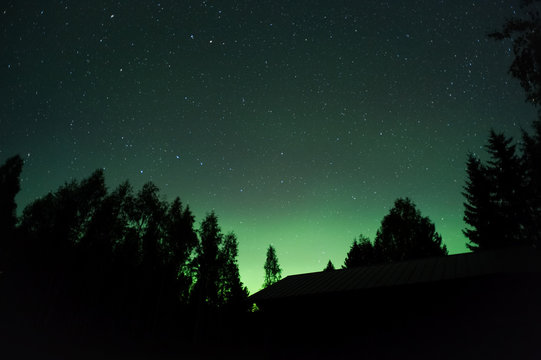 Aurora borealis and stars above forest silhouette