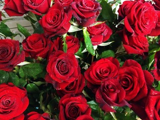 Festive Bouquet of flowers! beautiful wild flowers for a gift!