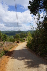 Straße in den Regenwald - Kuba