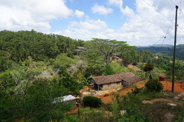 Häuser im Regenwald - Kuba