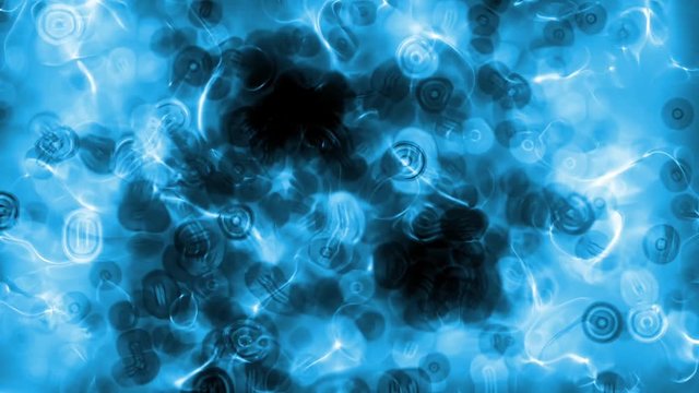 Elementary particle motions in microscopic scale