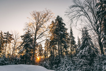 sunrise winter
