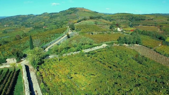 Aerial nature landscape beautiful hills fields and vineyards in Soave region, Italy.