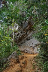 Felsformationen - Wanderweg im Regenwald auf Kuba bei Trinidad