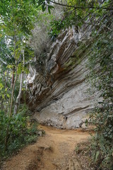 Felsformationen - Wanderweg im Regenwald auf Kuba bei Trinidad