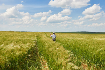child run through the wheat field, bright sun, beautiful summer landscape