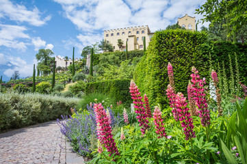 Naklejka premium The Gardens of Trauttmansdorff Castle, Meran (Merano),South tyrol, Italy,offer many attractions with botanical species and varieties of plants.
