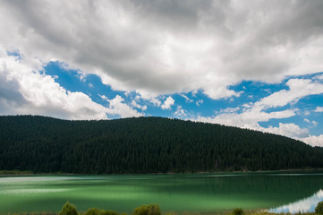 Crystal clean artificial lake near pine forest  in Romania, blue sky with white clouds .