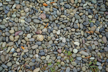 Backgrounds Small rock in garden